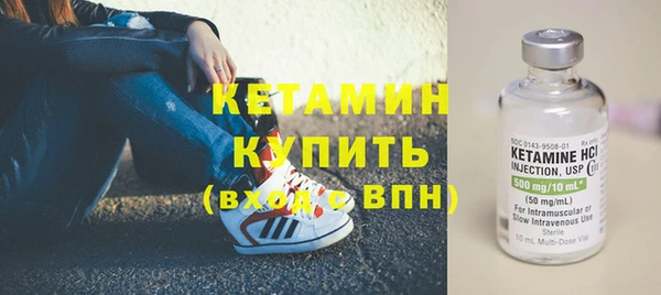 шишки Аркадак