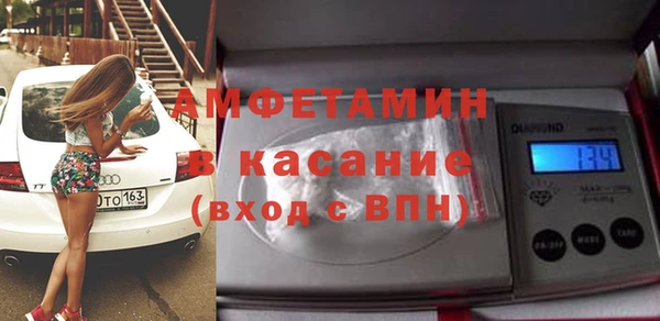 шишки Аркадак