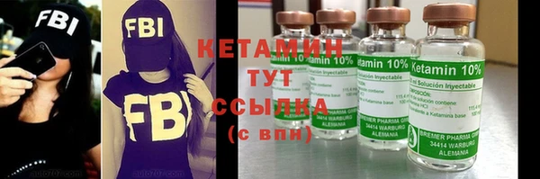 шишки Аркадак