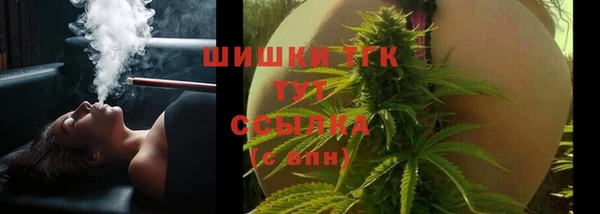 шишки Аркадак